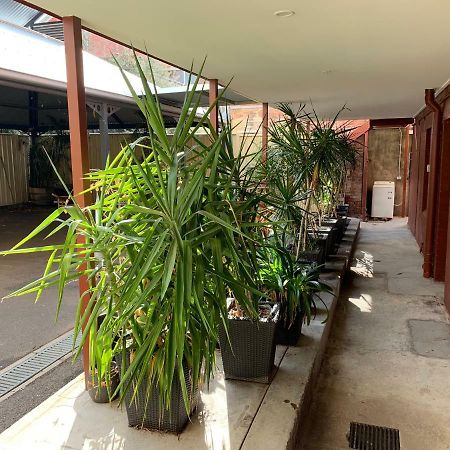 Crown Cbd Motel - City Location Bendigo Eksteriør billede
