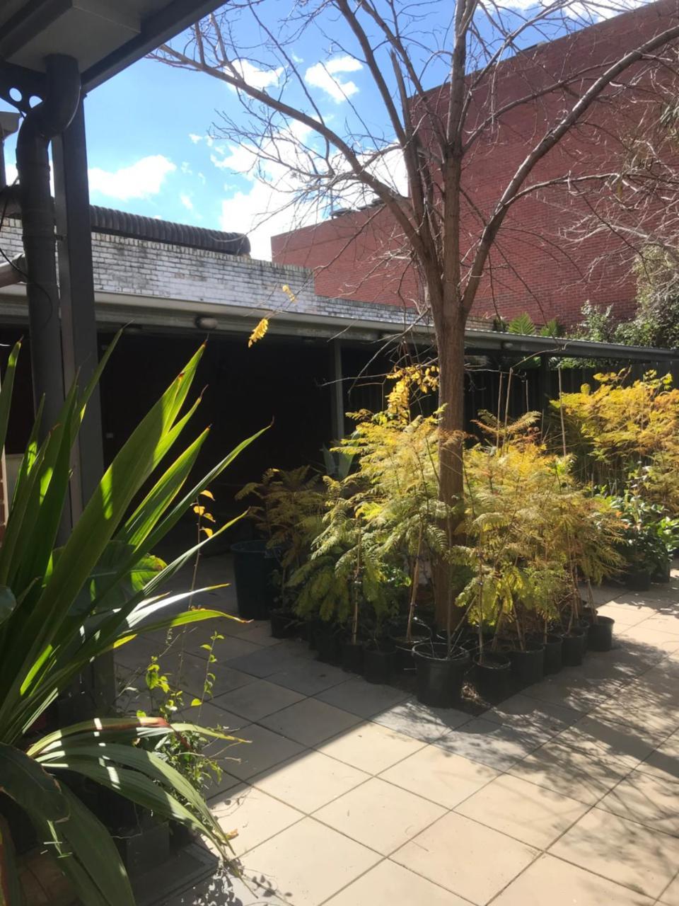 Crown Cbd Motel - City Location Bendigo Eksteriør billede