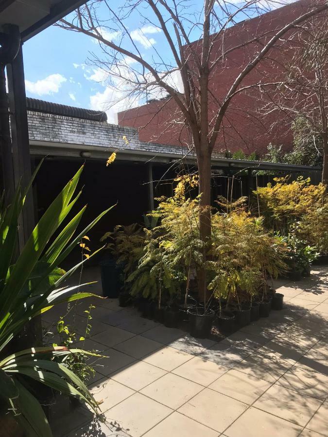 Crown Cbd Motel - City Location Bendigo Eksteriør billede
